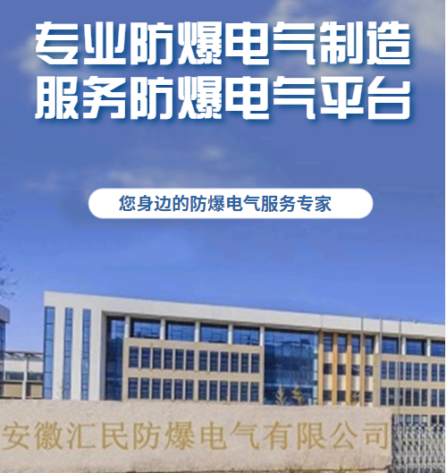 安徽豆奶富二代防爆电气有限公司
